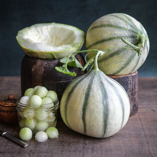 Hara Madhu Melon Live-Plant